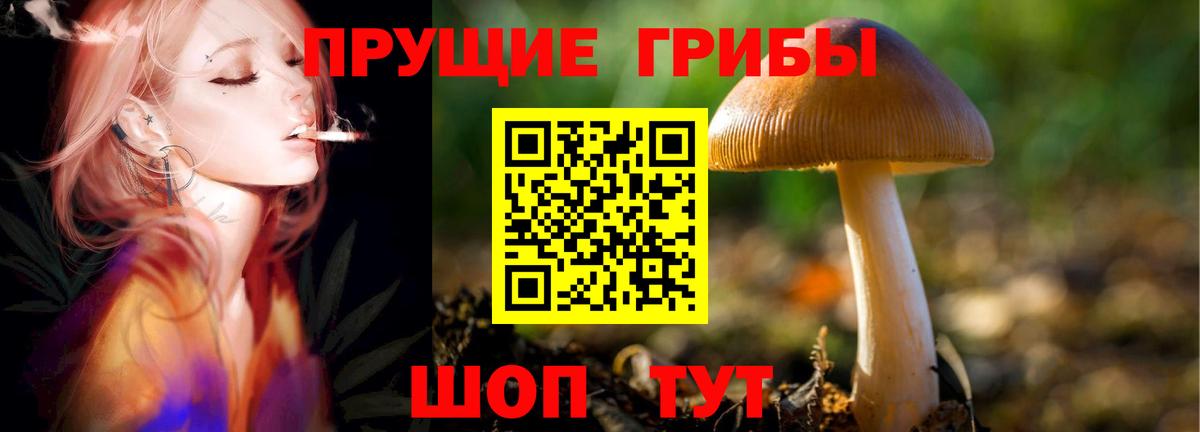 Галлюциногенные грибы Magic Shrooms  Псилоцибиновые грибы мухоморы  Луховицы  Вход с VPN 